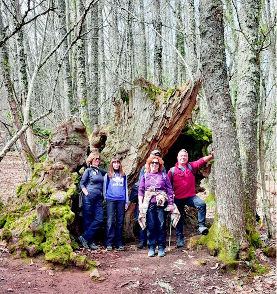 Domingo, 20 de Marzo